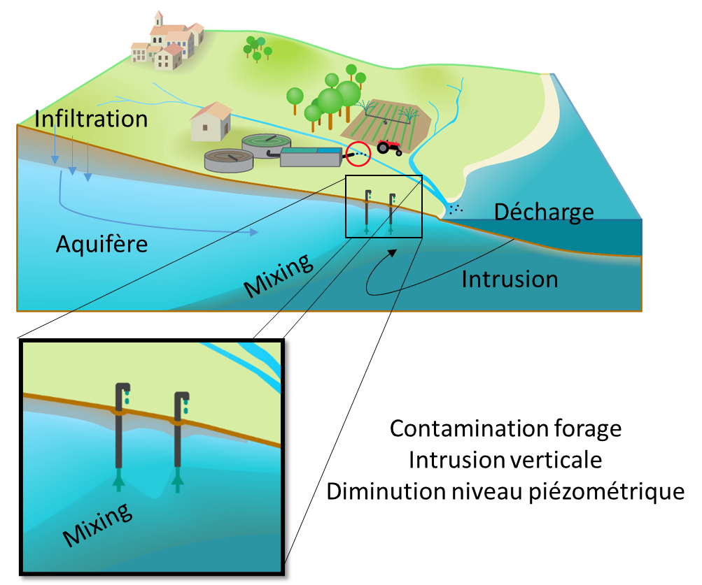 Saltwater intrusion diagram