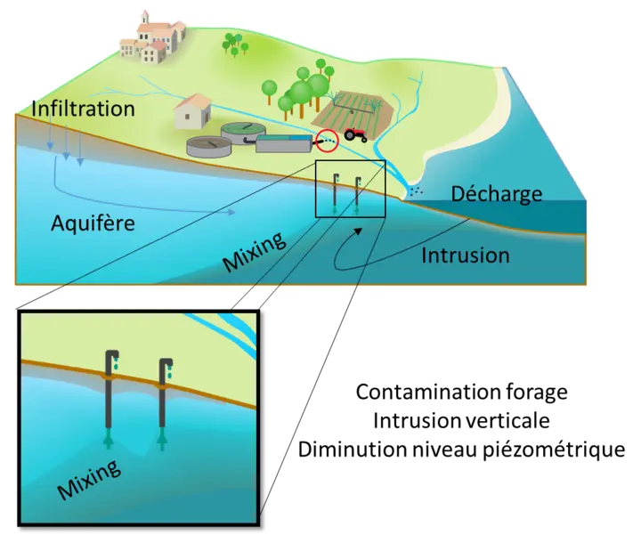 Saltwater intrusion diagram